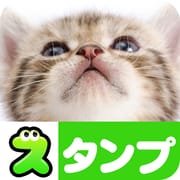 Cat Stickers